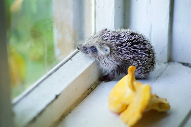 Similar image 21003364