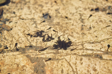 Similar image 21003367