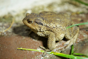 Similar image 21003370