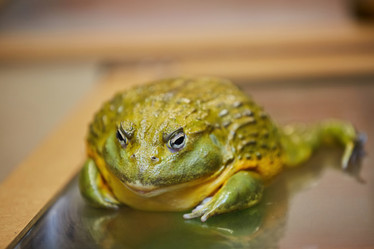 Similar image 21003371