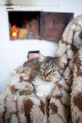 Similar image 21003373