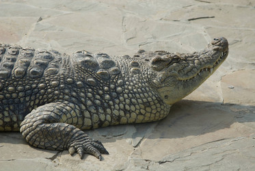 Similar image 21003393