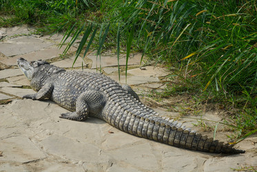 Similar image 21003394