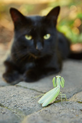 Similar image 21003396