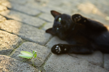 Similar image 21003397