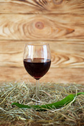 Similar image 21007574