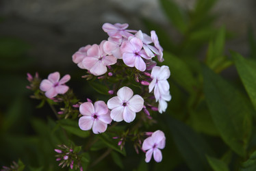 Similar image 20995060