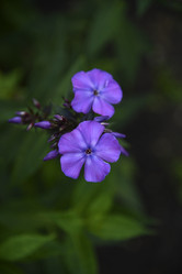 Similar image 20995062