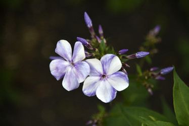 Similar image 20995063