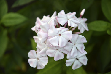 Similar image 20995064