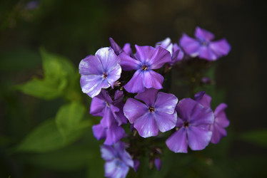 Similar image 20995079