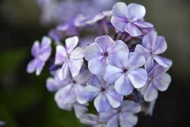 Similar image 20995082