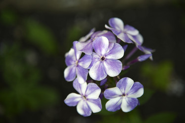 Similar image 20995083