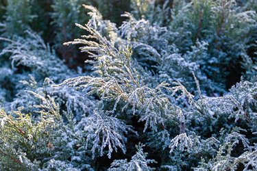 Similar image 20999642