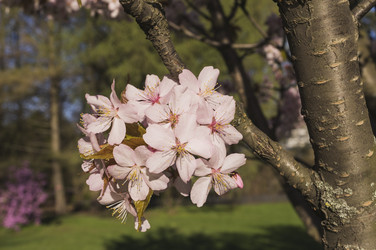 Similar image 20997975