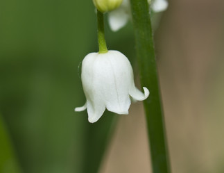 Similar image 20997977