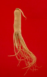 Similar image 20997979