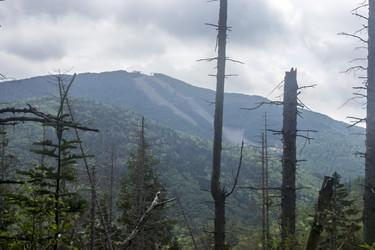 Similar image 20994854