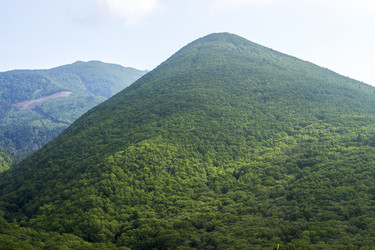 Similar image 20997784