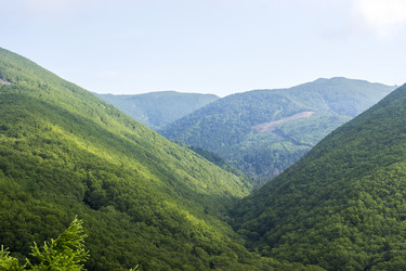 Similar image 20997785