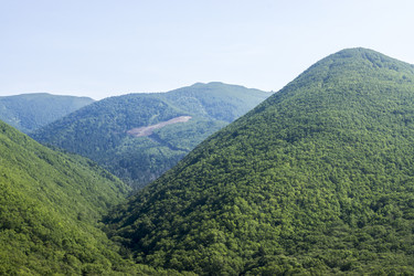 Similar image 20994858