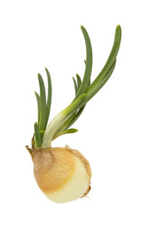 Similar image 20997980