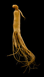 Similar image 20997981