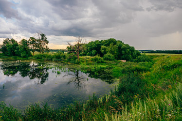 Similar image 20995605