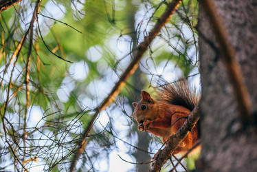 Similar image 20995648