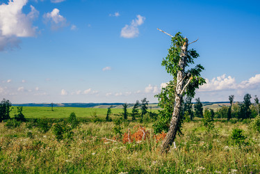 Similar image 20995673