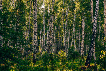 Similar image 20995676