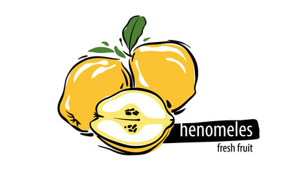 Similar image 21003902