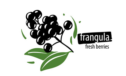 Similar image 21003919