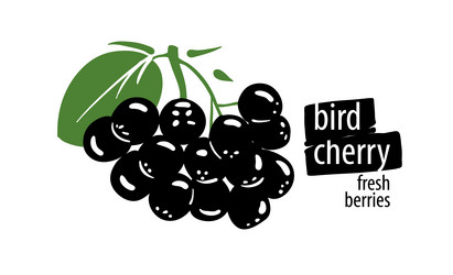 Similar image 21003922