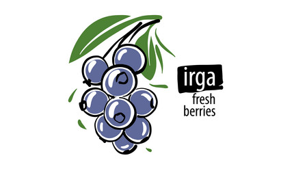 Similar image 21012632