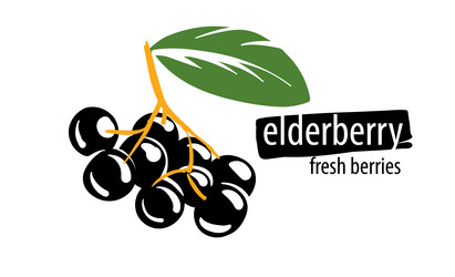 Similar image 21012713