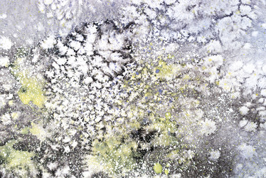 Similar image 21009904