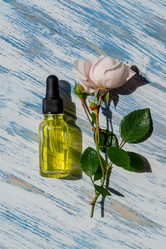 Similar image 21000716