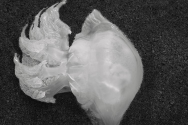 Similar image 20997786