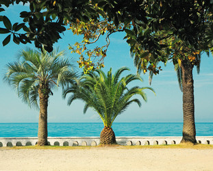 Similar image 20995278