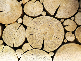 Similar image 20995287