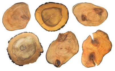 Similar image 20999902