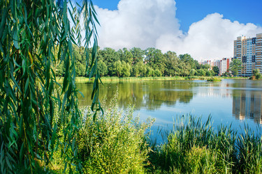 Similar image 20995328