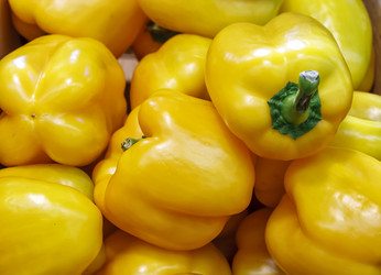 Similar image 20998653