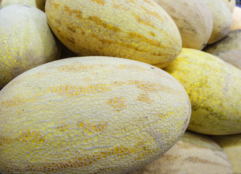 Similar image 20998654