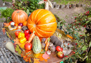 Similar image 20998522