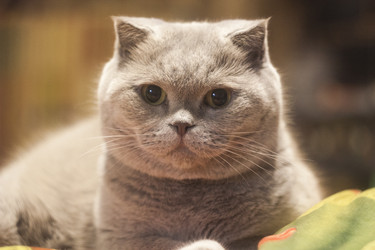 Similar image 20997806