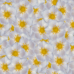 Similar image 20999657