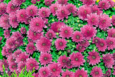 Similar image 20999707