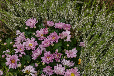 Similar image 20999668